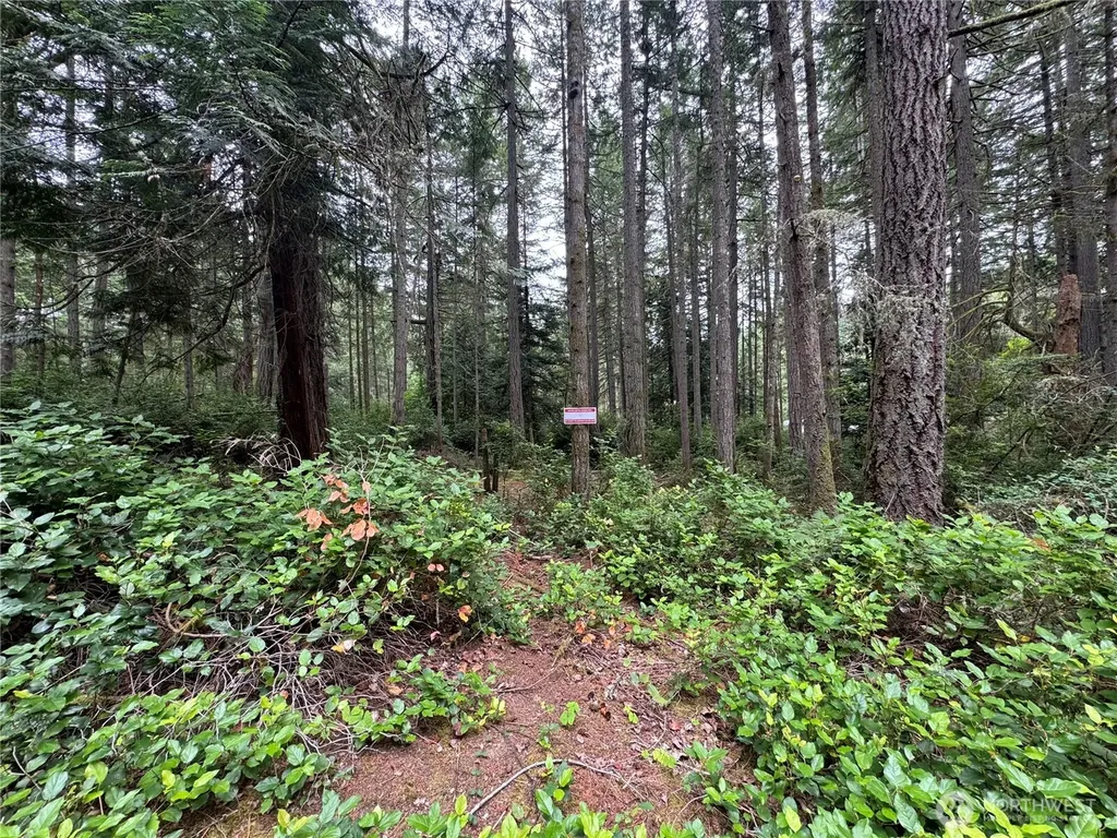 11308 114th Street Court Anderson Island WA 98303