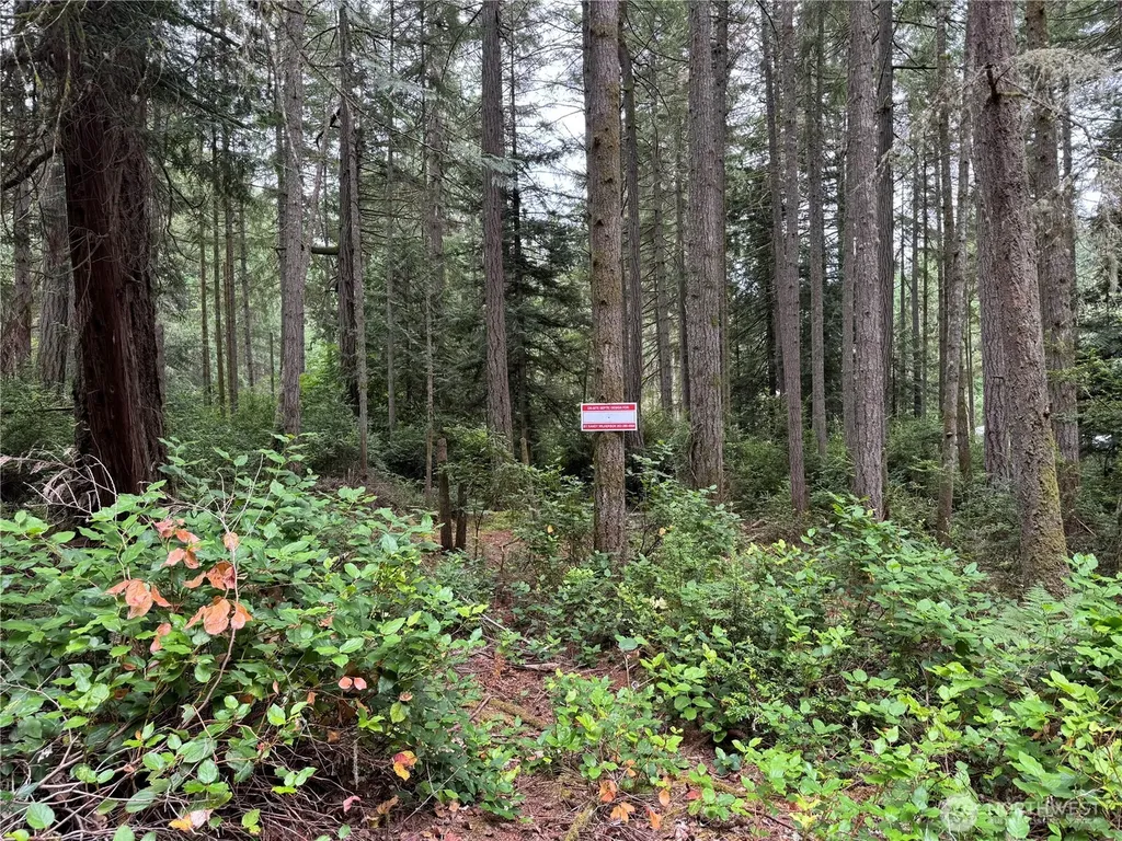 11308 114th Street Court Anderson Island WA 98303
