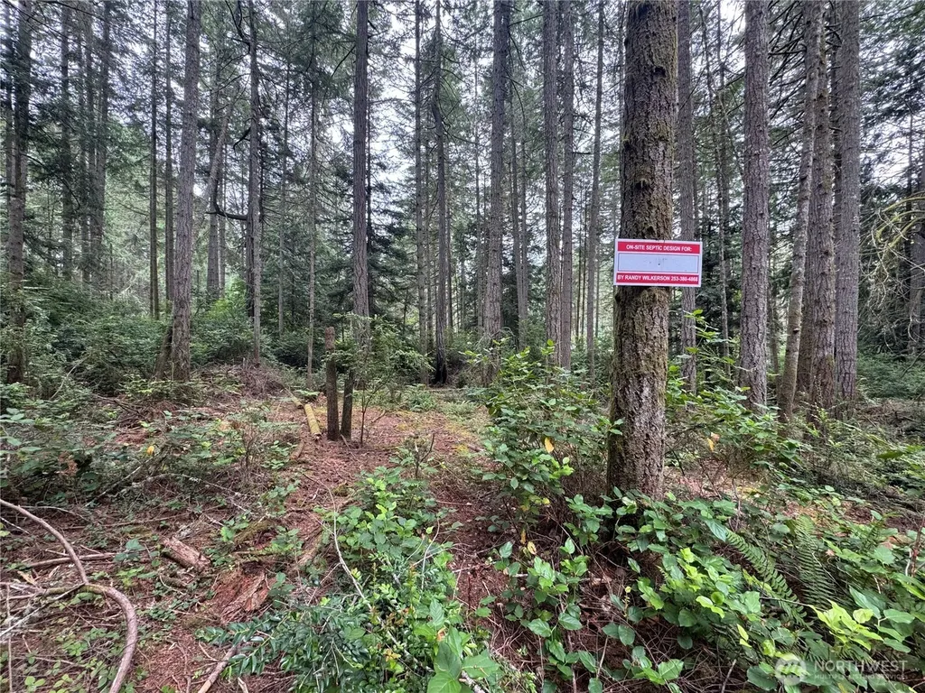 11308 114th Street Court Anderson Island WA 98303