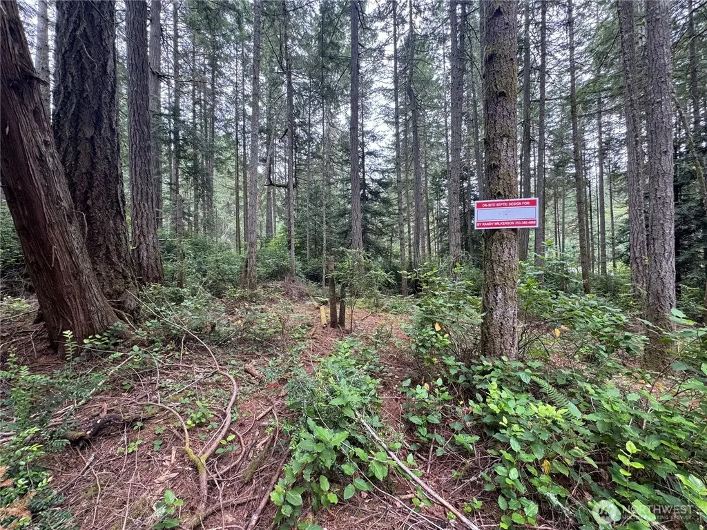 11308 114th Street Court Anderson Island WA 98303
