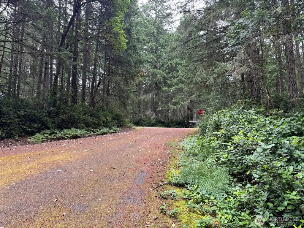 11308 114th Street Court Anderson Island WA 98303