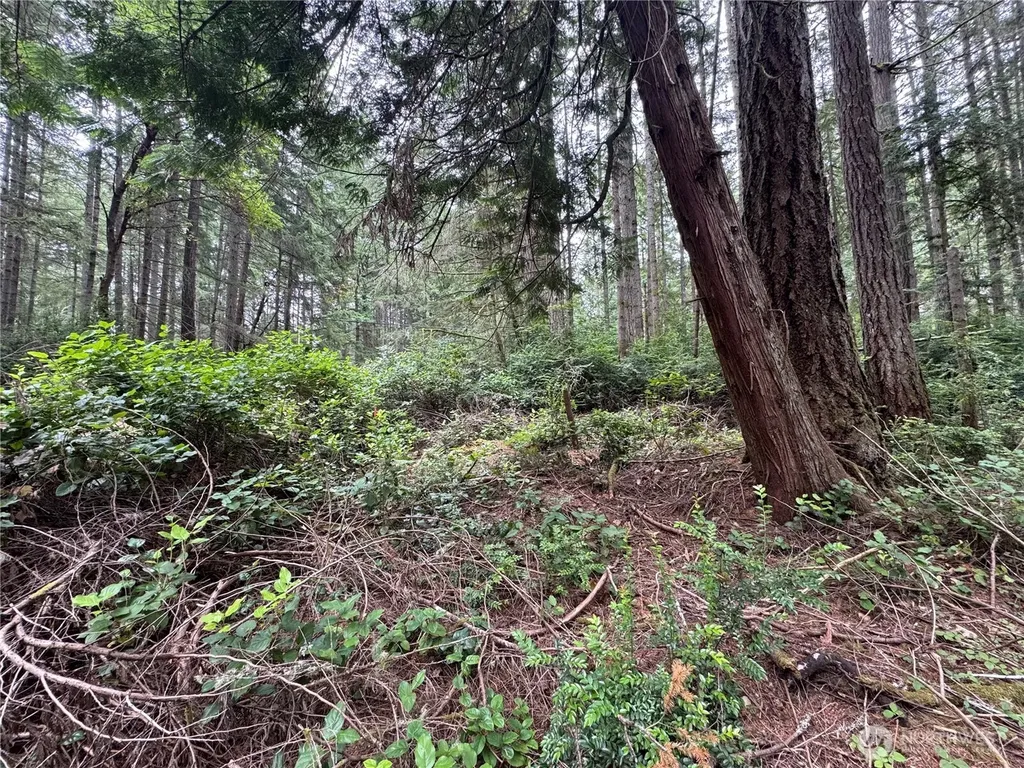 11308 114th Street Court Anderson Island WA 98303