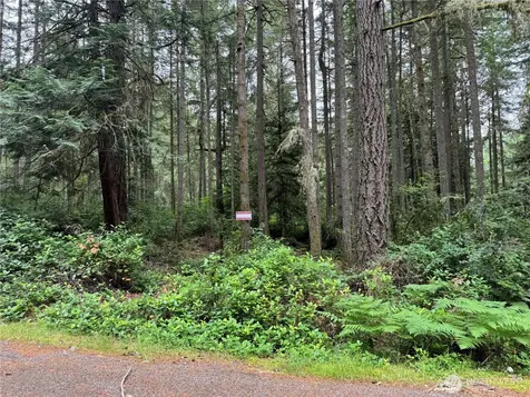 11308 114th Street Court Anderson Island WA 98303
