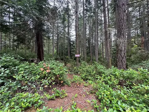 11308 114th Street Court Anderson Island WA 98303