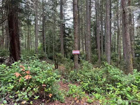 11308 114th Street Court Anderson Island WA 98303