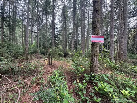 11308 114th Street Court Anderson Island WA 98303