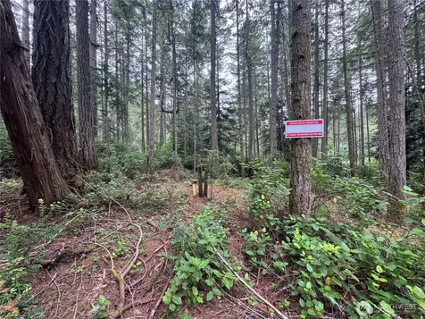 11308 114th Street Court Anderson Island WA 98303