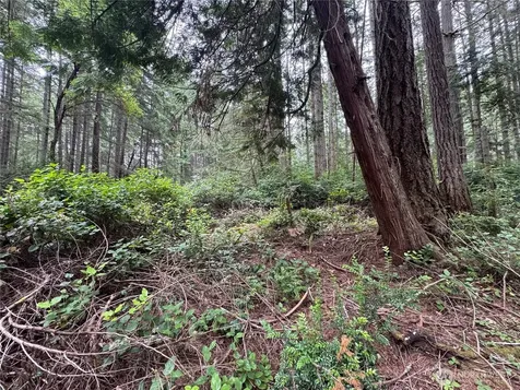 11308 114th Street Court Anderson Island WA 98303