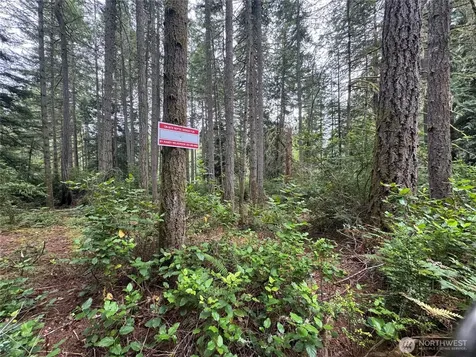 11308 114th Street Court Anderson Island WA 98303