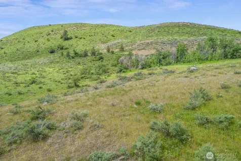 29 Heritage Rose Road Winthrop WA 98862