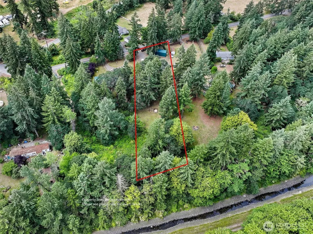 10314 Bridge Road SE Yelm WA 98597