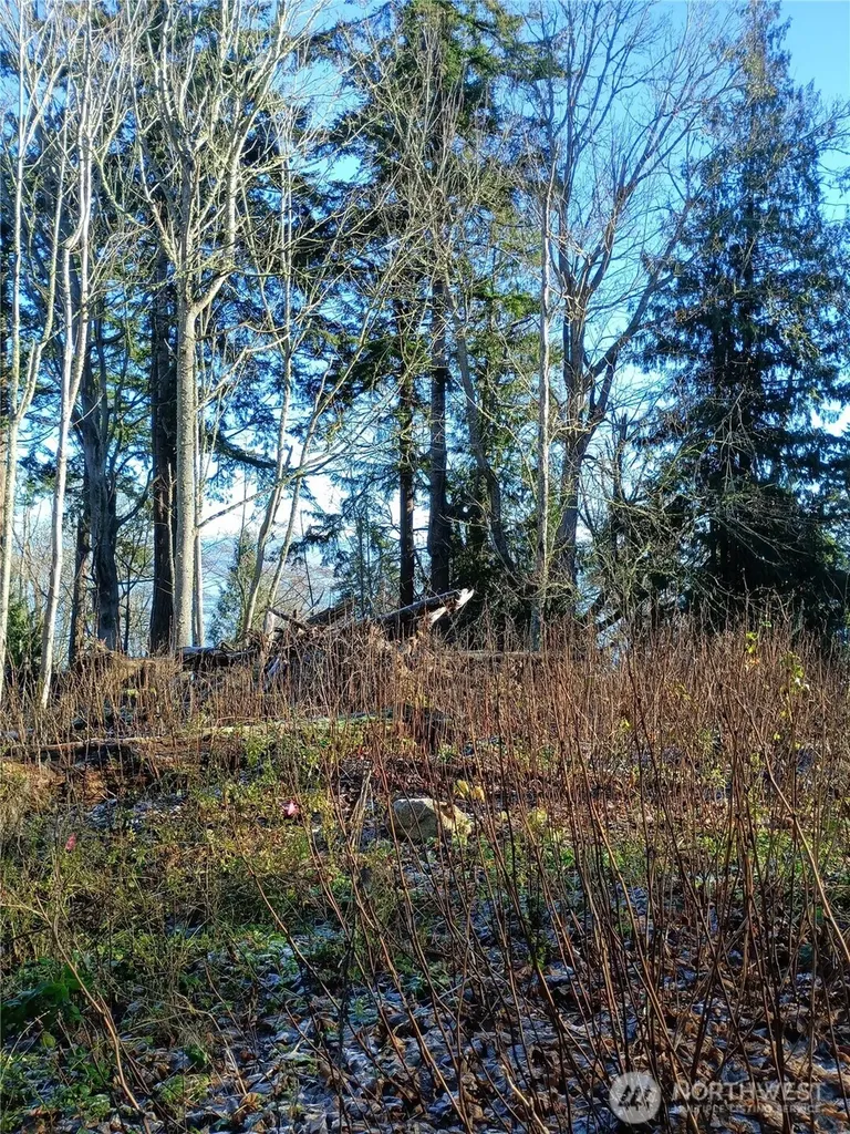49 Tulalip Way Hat Island WA 98206