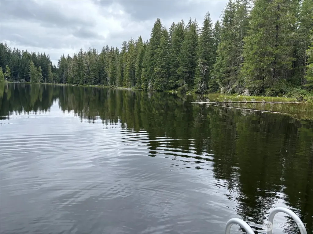 51 NE Rhody Lane Tahuya WA 98588