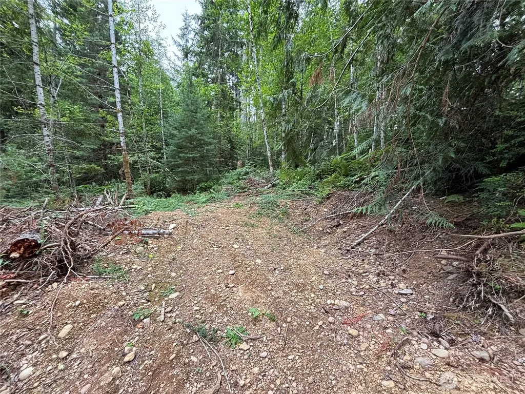 51 NE Rhody Lane Tahuya WA 98588