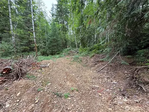 51 NE Rhody Lane Tahuya WA 98588