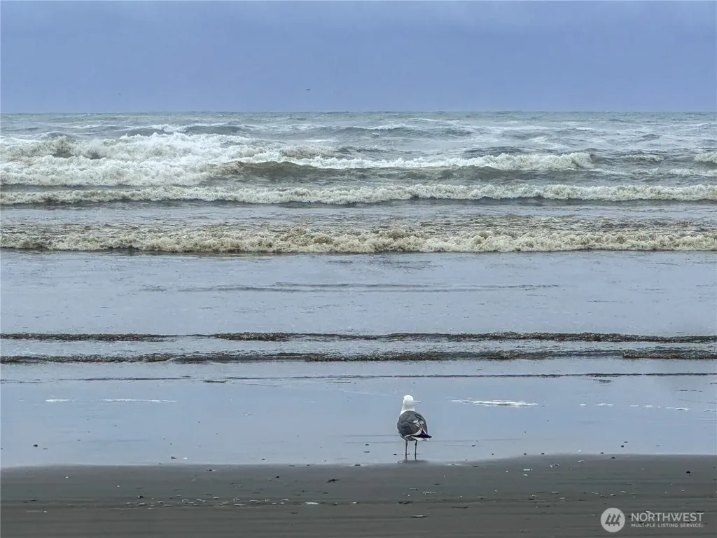 425 N Portal Loop SW Ocean Shores WA 98569