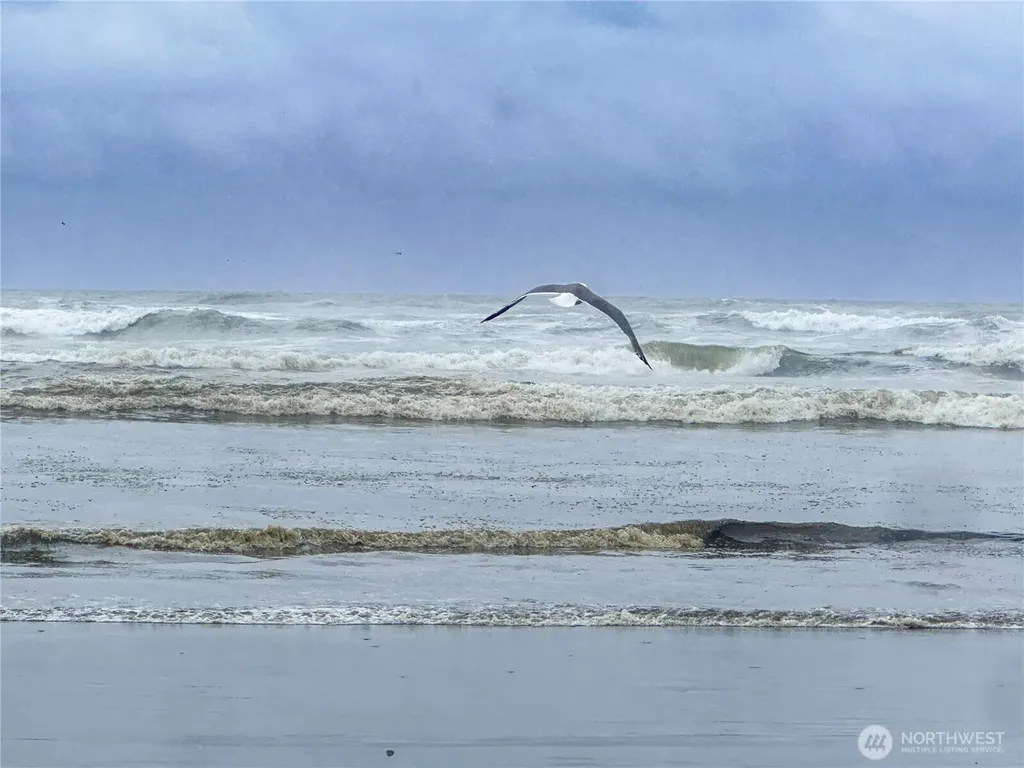 425 N Portal Loop SW Ocean Shores WA 98569