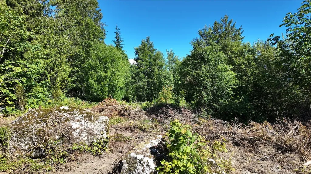 45028 Baker Lake Road Concrete WA 98237