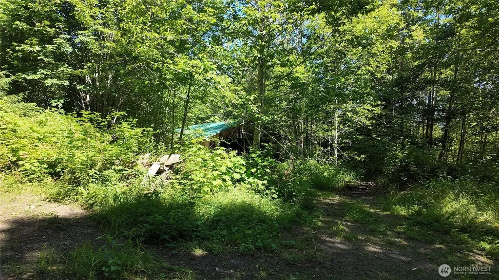 45028 Baker Lake Road Concrete WA 98237