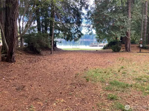 Shelton WA 98584