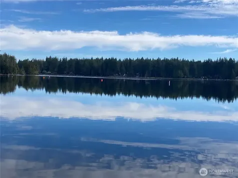 Shelton WA 98584