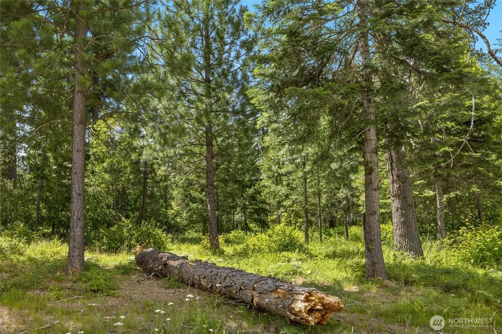 21 Old Grove Trail Cle Elum WA 98922