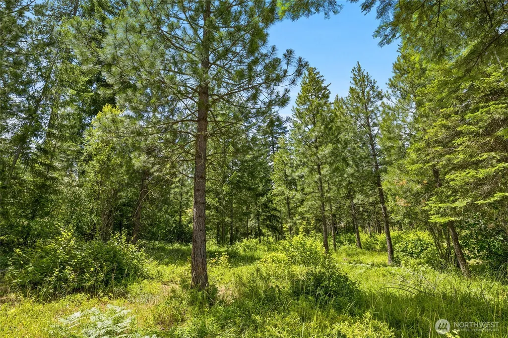 21 Old Grove Trail Cle Elum WA 98922