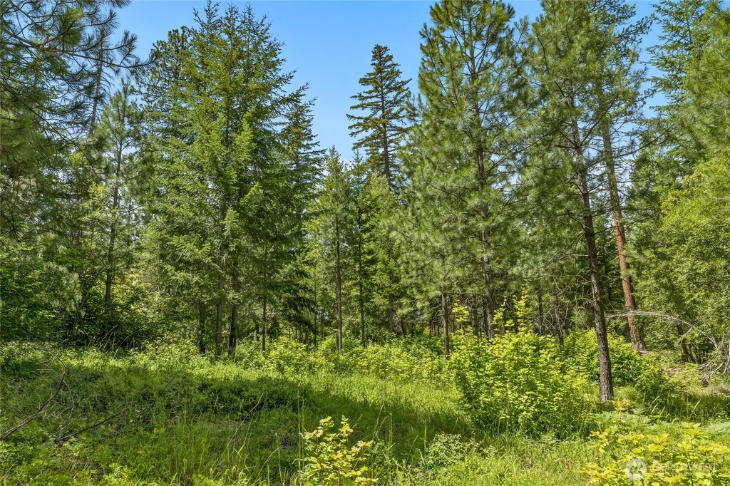 21 Old Grove Trail Cle Elum WA 98922