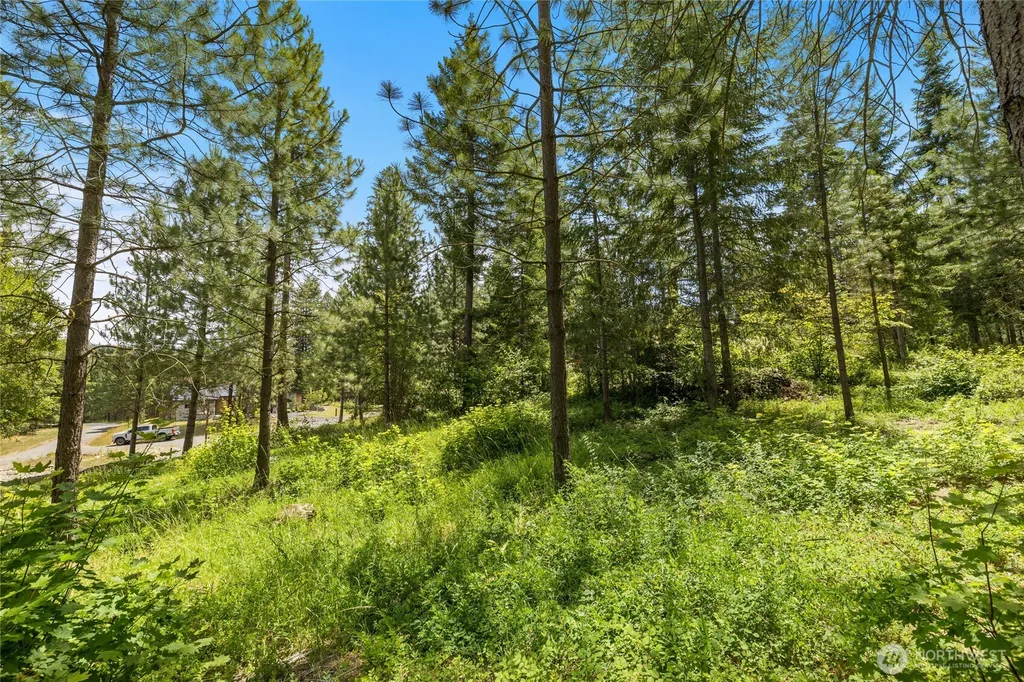 21 Old Grove Trail Cle Elum WA 98922