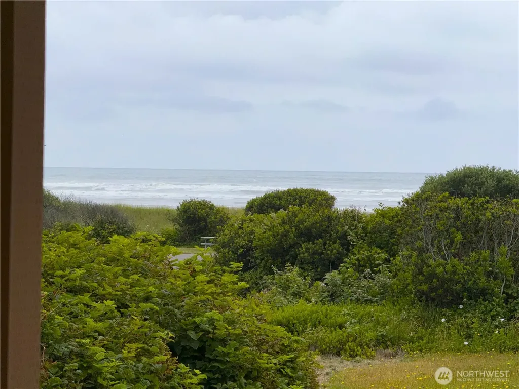 30 Second Street S Pacific Beach WA 98571