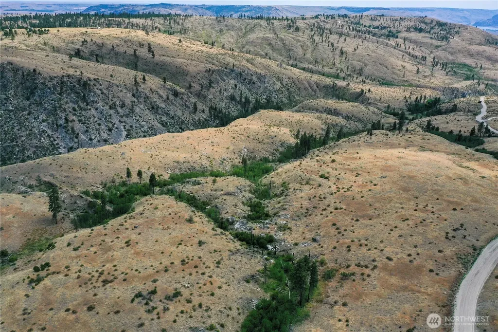 0 Tbd Indian Dan Canyon Brewster WA 98812