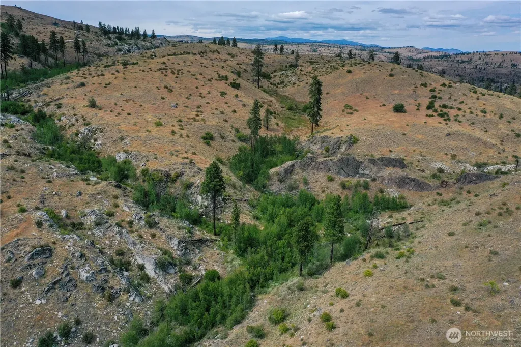 0 Tbd Indian Dan Canyon Brewster WA 98812