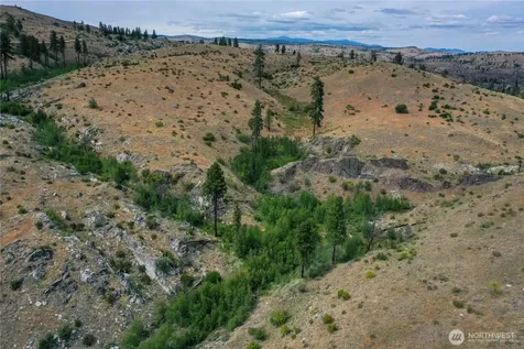 0 Tbd Indian Dan Canyon Brewster WA 98812