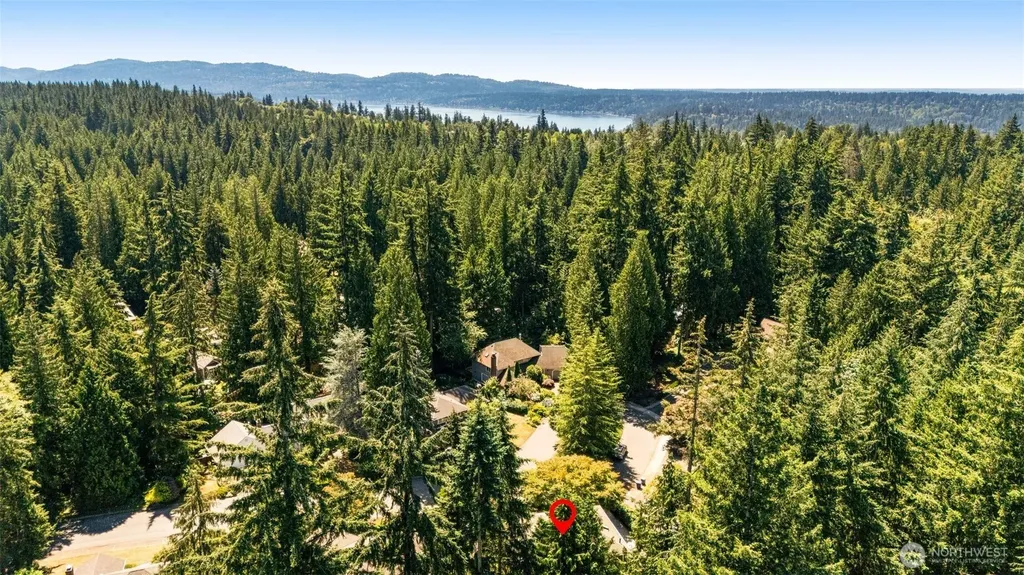 21016 NE 36th Street Sammamish WA 98074