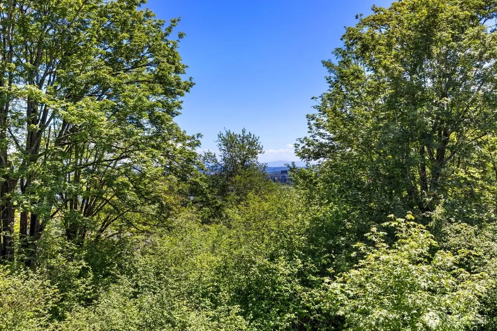 6726 35th Place S Seattle WA 98118