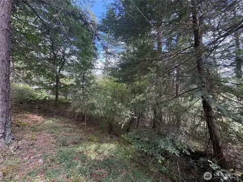 0 Rosario Road Orcas Island WA 98245