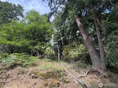 0 Rosario Road Orcas Island WA 98245