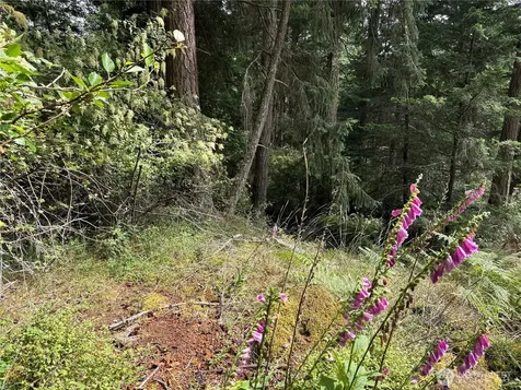 0 Rosario Road Orcas Island WA 98245