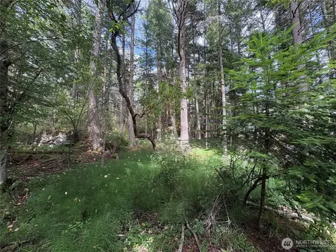 0 Rosario Road Orcas Island WA 98245