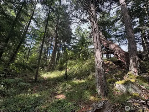 0 Rosario Road Orcas Island WA 98245