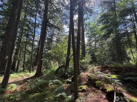 0 Rosario Road Orcas Island WA 98245