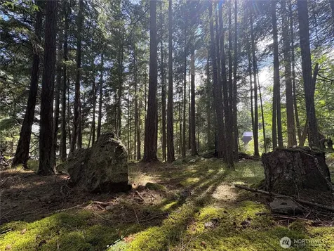 0 Rosario Road Orcas Island WA 98245