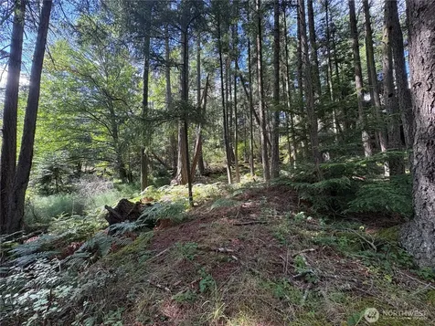0 Rosario Road Orcas Island WA 98245