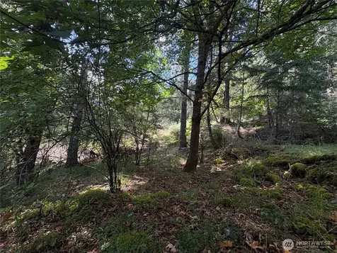 0 Rosario Road Orcas Island WA 98245