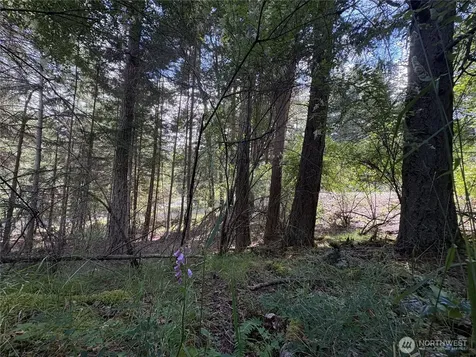 0 Rosario Road Orcas Island WA 98245