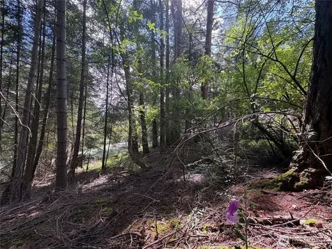0 Rosario Road Orcas Island WA 98245