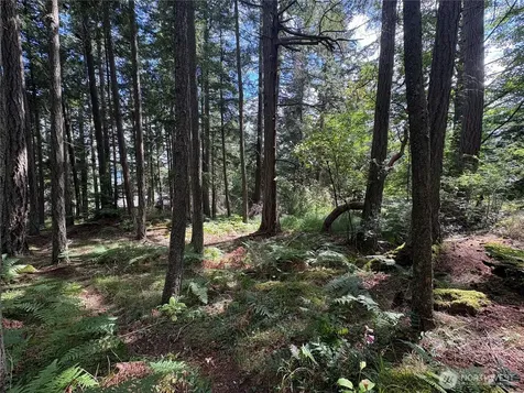 0 Rosario Road Orcas Island WA 98245