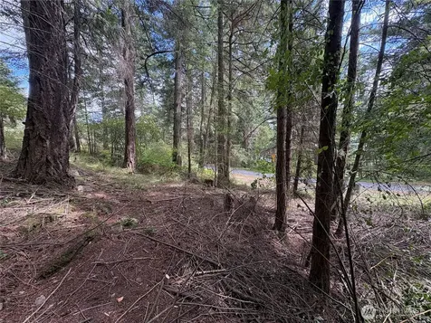 0 Rosario Road Orcas Island WA 98245
