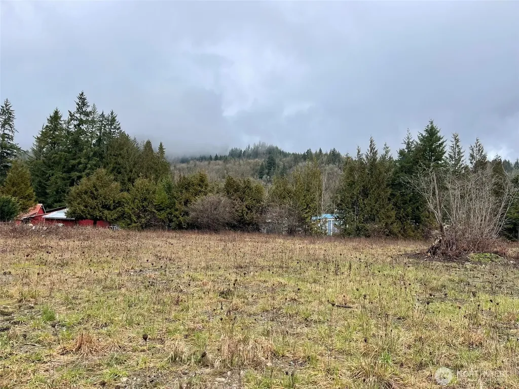 45075 Cedar Street Concrete WA 98237