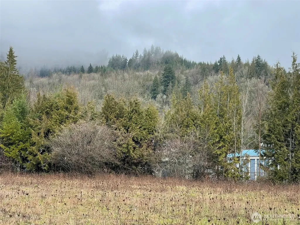 45075 Cedar Street Concrete WA 98237